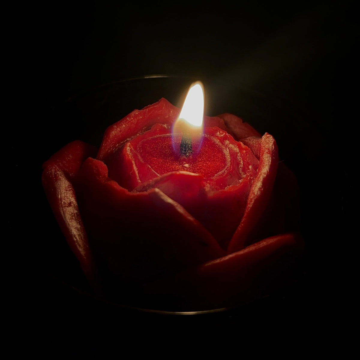 Midnight Rose – Limited Edition Soy Candle